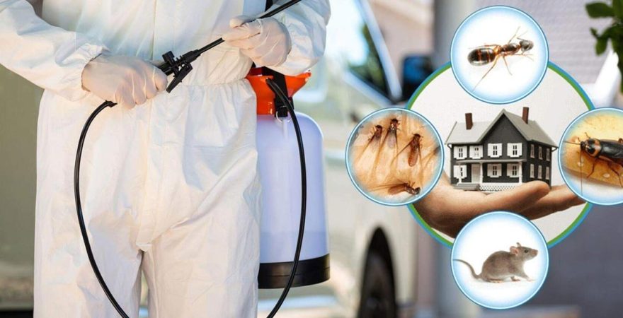 Çeşme Böcek İlaçlama