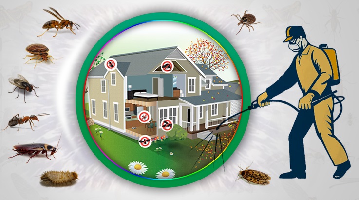 Çeşme Böcek İlaçlama