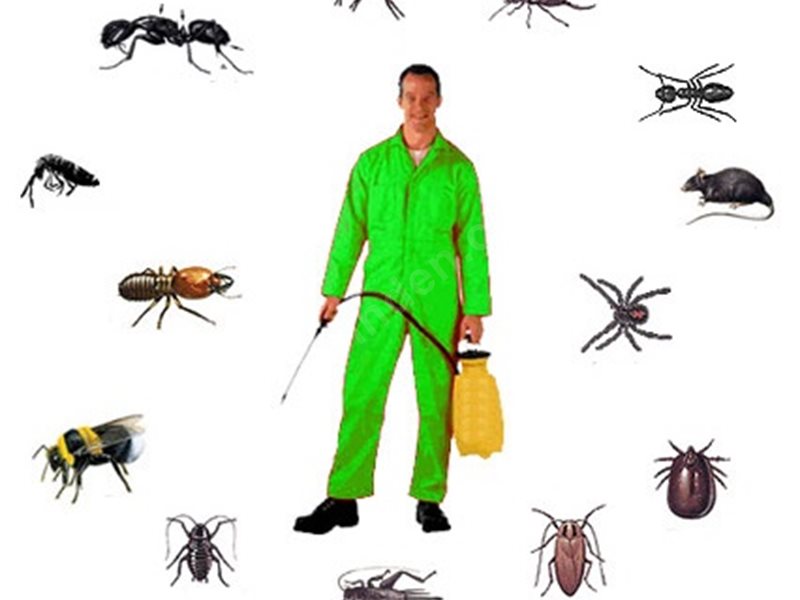 Çeşme Böcek İlaçlama